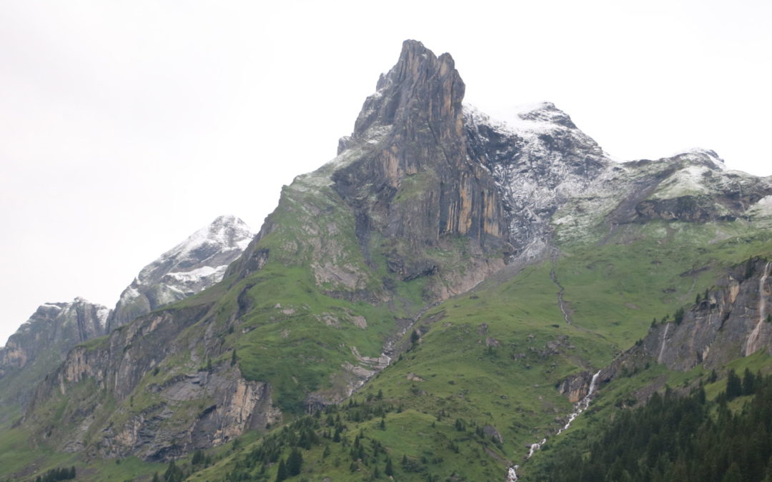 Cadet 1 – Jour 2 – Première marche