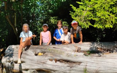 Arzier 1 – Jour 5 – Voyage au bout de la jungle